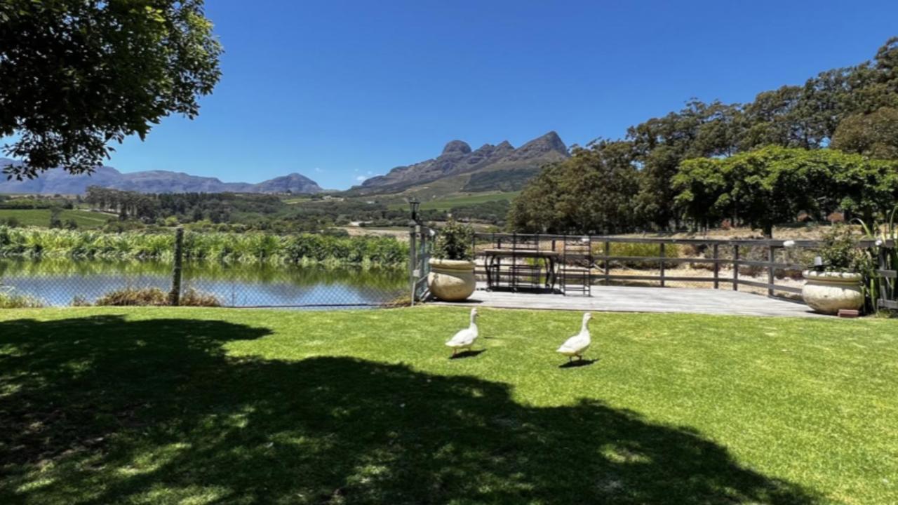 In The Vine Country Manor Guesthouse Stellenbosch Luaran gambar
