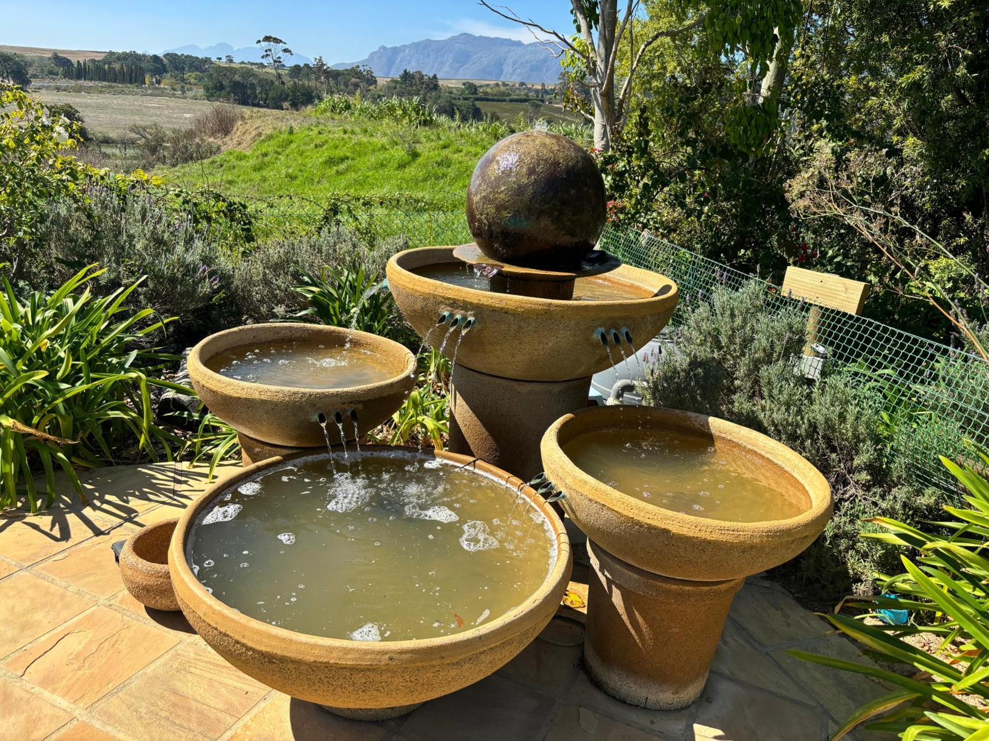 In The Vine Country Manor Guesthouse Stellenbosch Luaran gambar