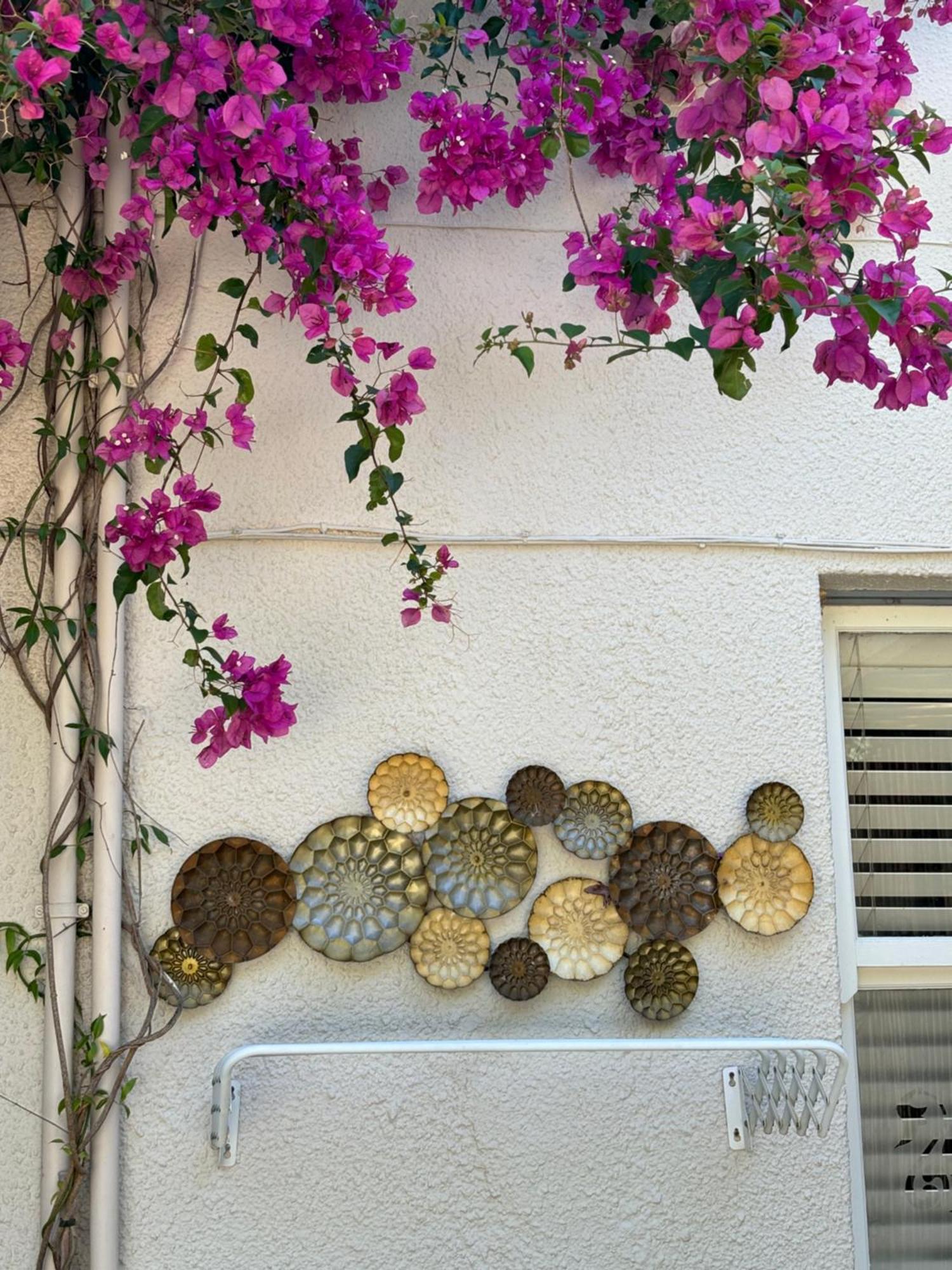 In The Vine Country Manor Guesthouse Stellenbosch Luaran gambar
