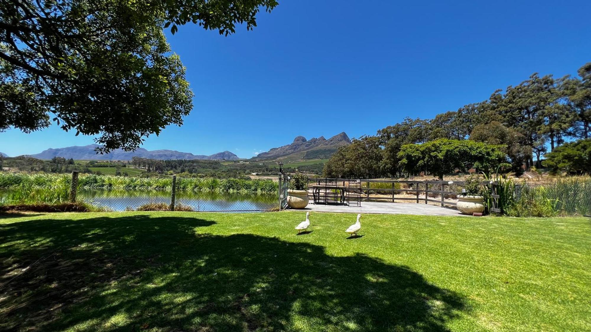 In The Vine Country Manor Guesthouse Stellenbosch Luaran gambar