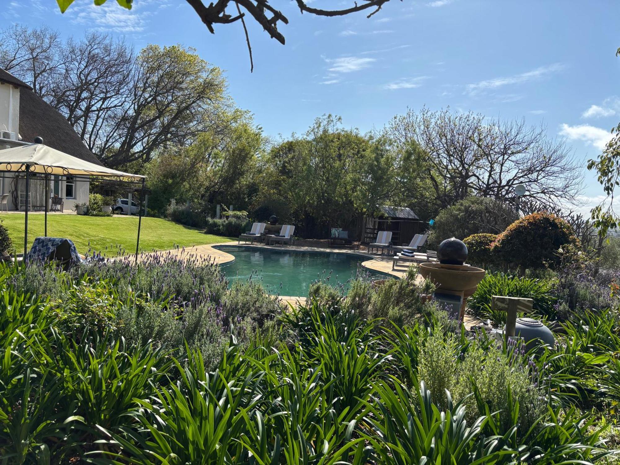 In The Vine Country Manor Guesthouse Stellenbosch Luaran gambar