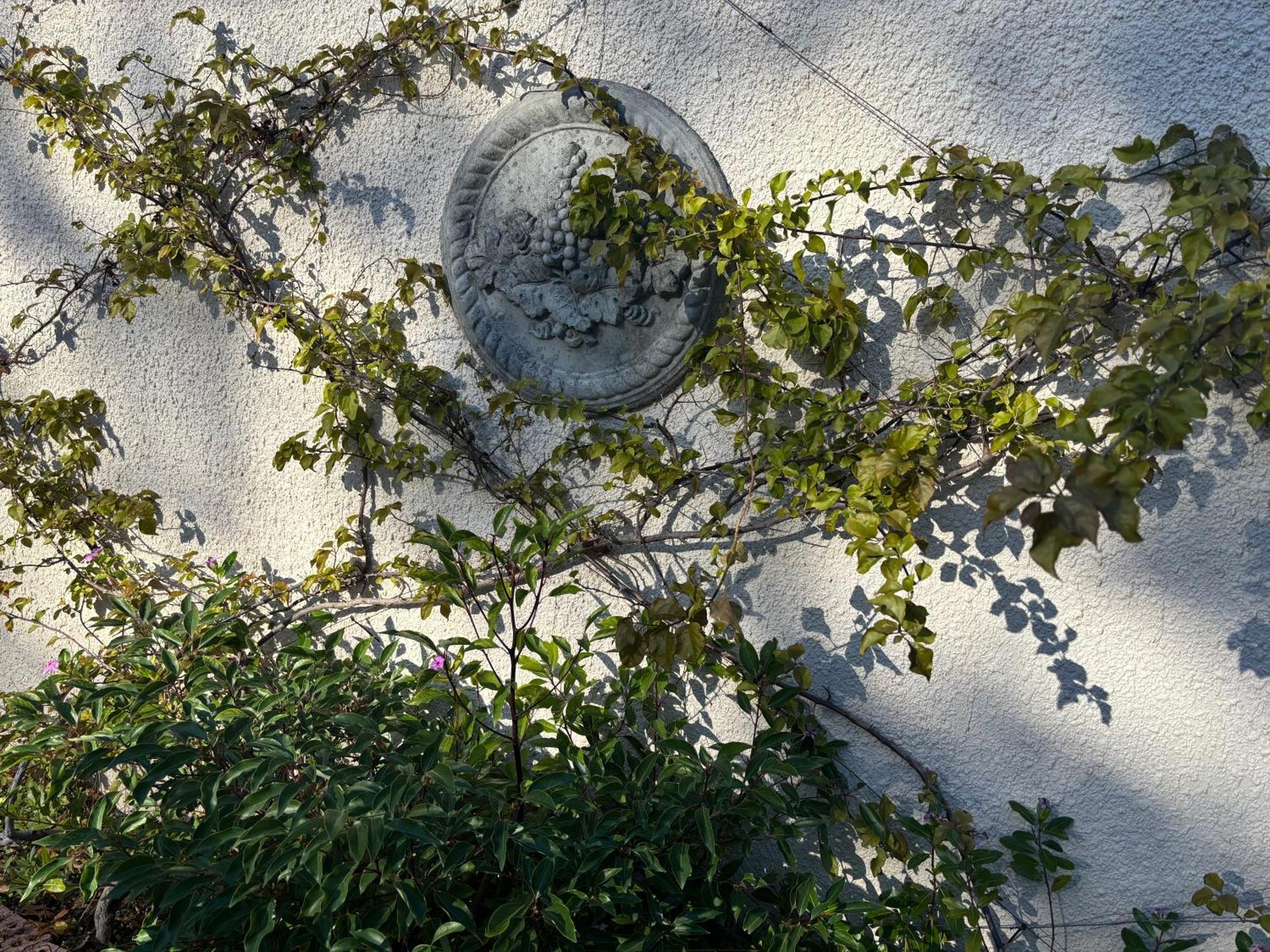 In The Vine Country Manor Guesthouse Stellenbosch Luaran gambar